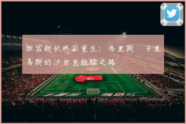 跌宕起伏终获重生：洛里斯・卡里乌斯的沙尔克救赎之路